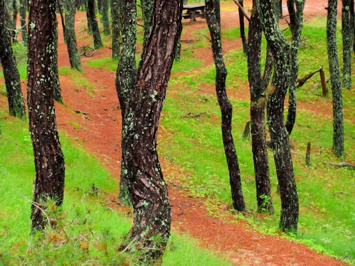 North of Highland Camping Area 1