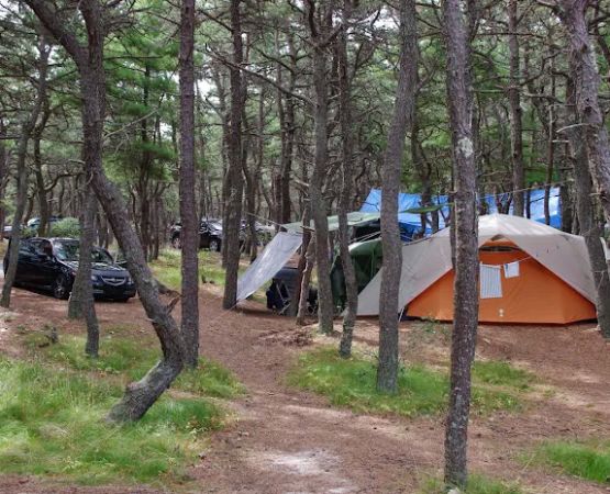 North of Highland Camping Area