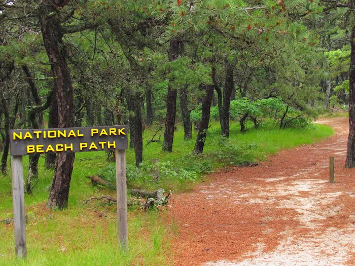North of Highland Camping Area 7