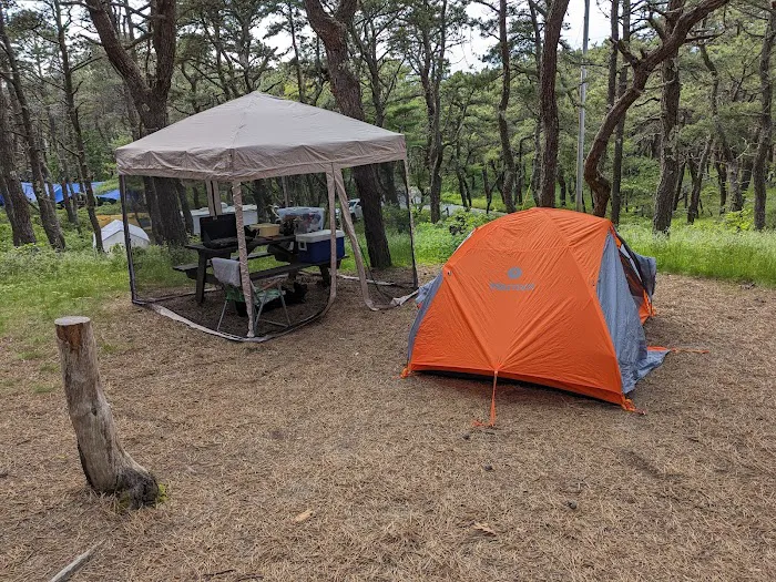 North of Highland Camping Area 9