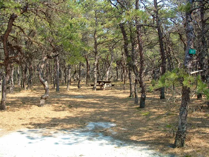 North of Highland Camping Area 8