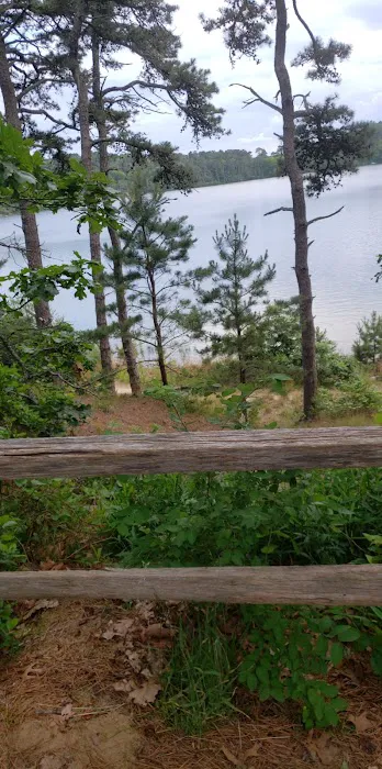 Nickerson State Park - Area 5 0