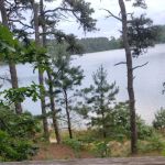 Nickerson State Park - Area 5