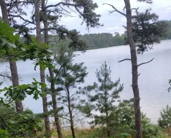 Nickerson State Park - Area 5