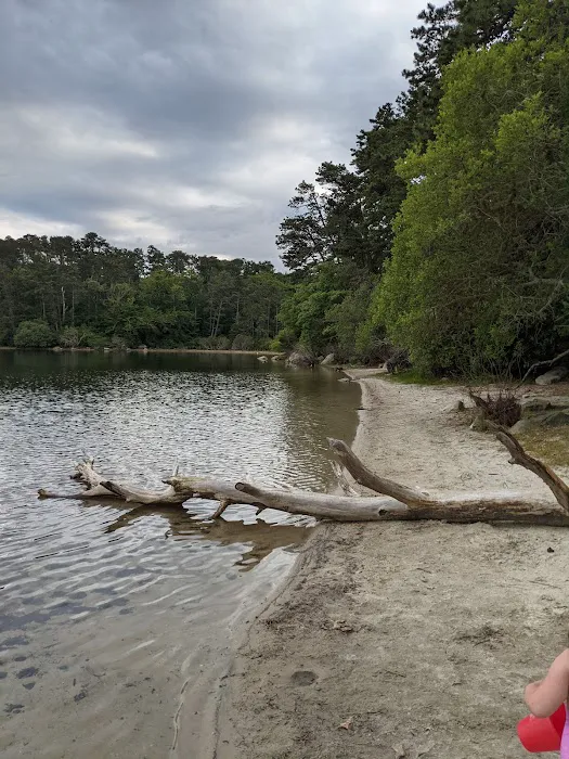 Camping Area 1 0