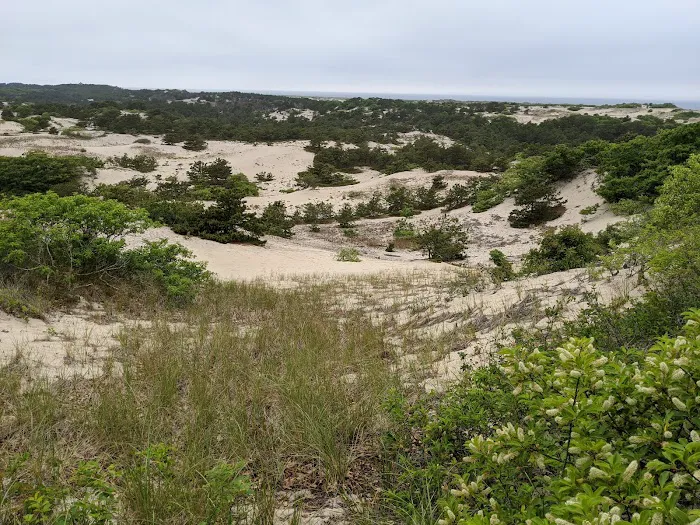 Dunes' Edge Campground 1