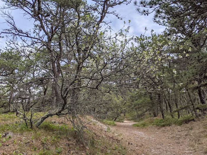 Dunes' Edge Campground 3