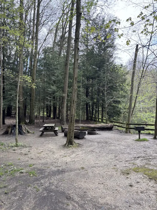 Gridled road reservation campsite 0