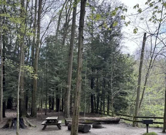 Gridled road reservation campsite