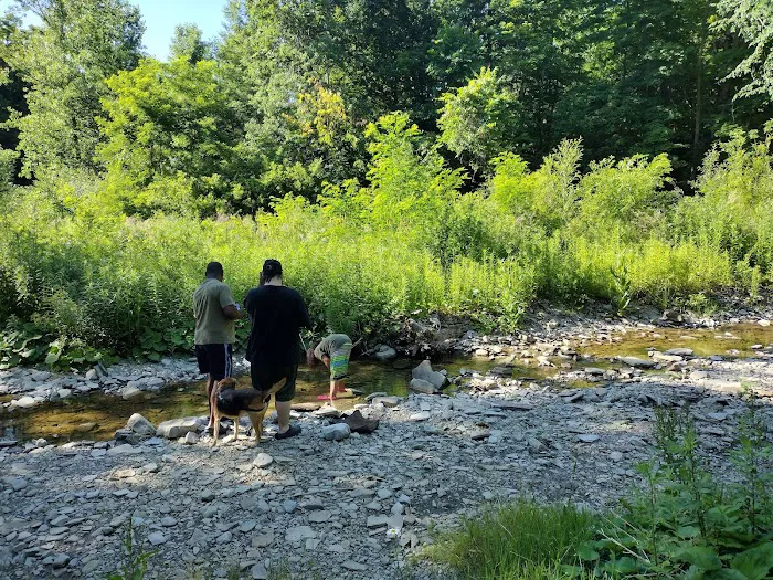Woodside Campsites 1