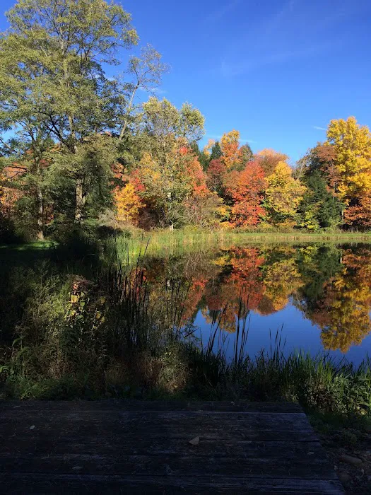 Woodside Campsites 7