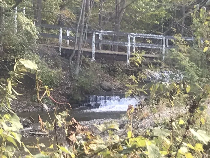 Woodside Campsites 8