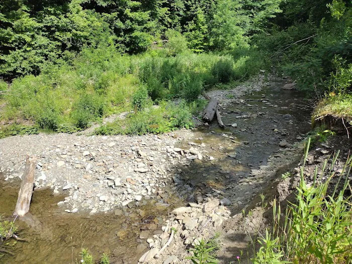 Woodside Campsites 9