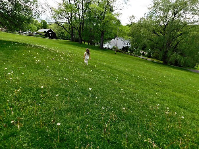 Belvedere Lake Resort 9