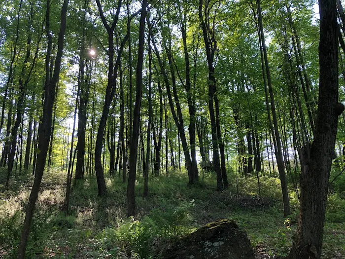 Red Creek Hideaway 5