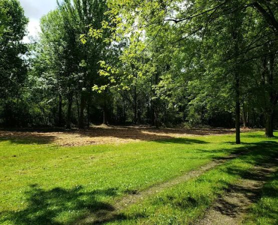 Whitetail Meadows