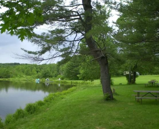 Cooperstown Beaver Valley Cabins & Campsites