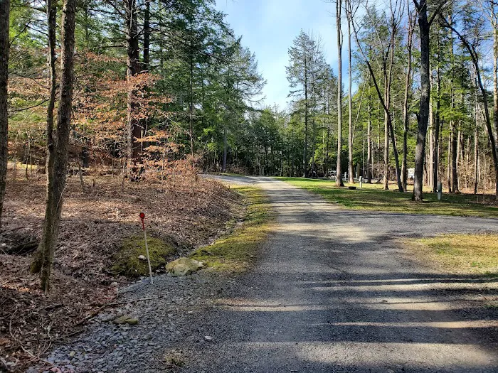 Twin Oaks 4