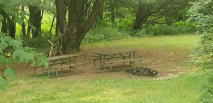 The Oquaga Cabin 3