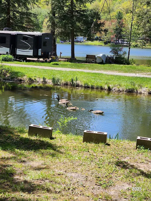 Forest Lake Campground 6