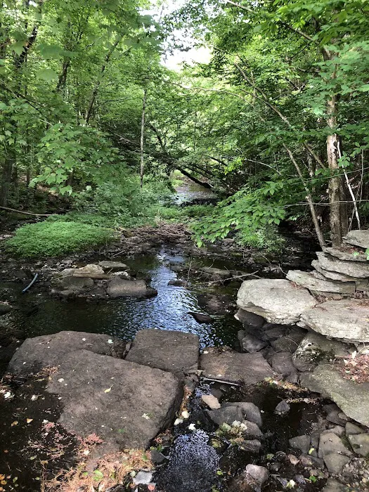Camp Oswego 5