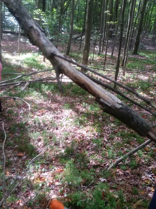 Camp Oswego 9