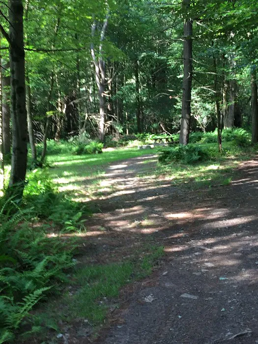 Valley View Walking Trails 6