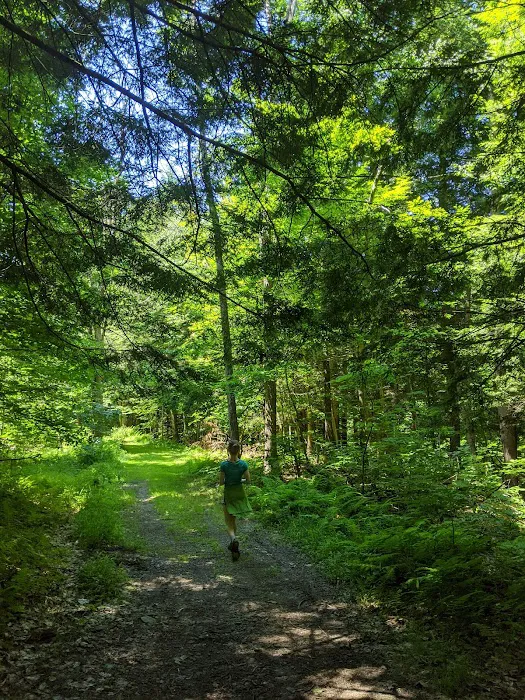 Valley View Walking Trails 9