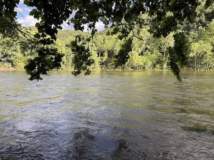 Back Run Paddle In Camp 3