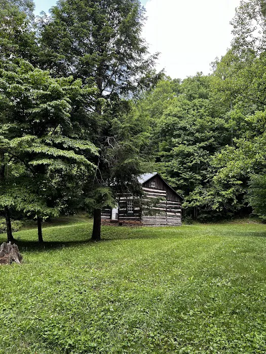 Colon Hollow Shelter Campground 1