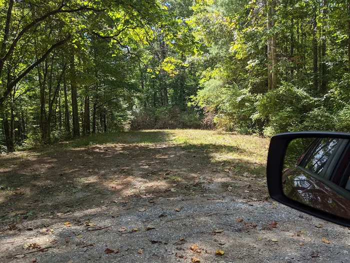 Colon Hollow Shelter Campground 0