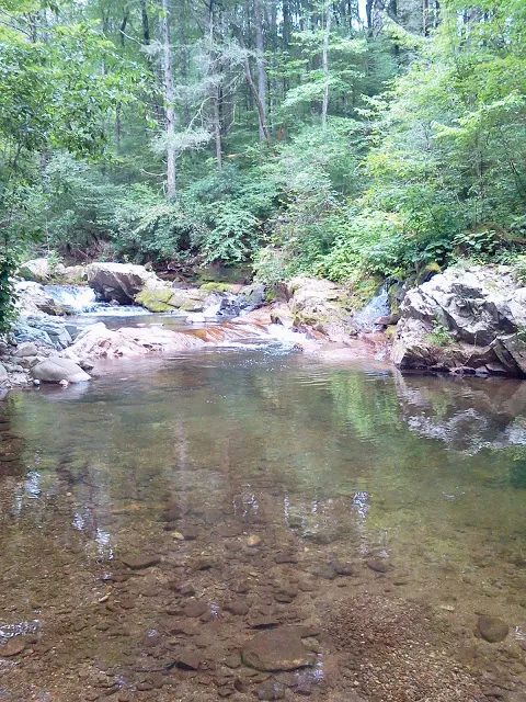 Colon Hollow Shelter Campground 2