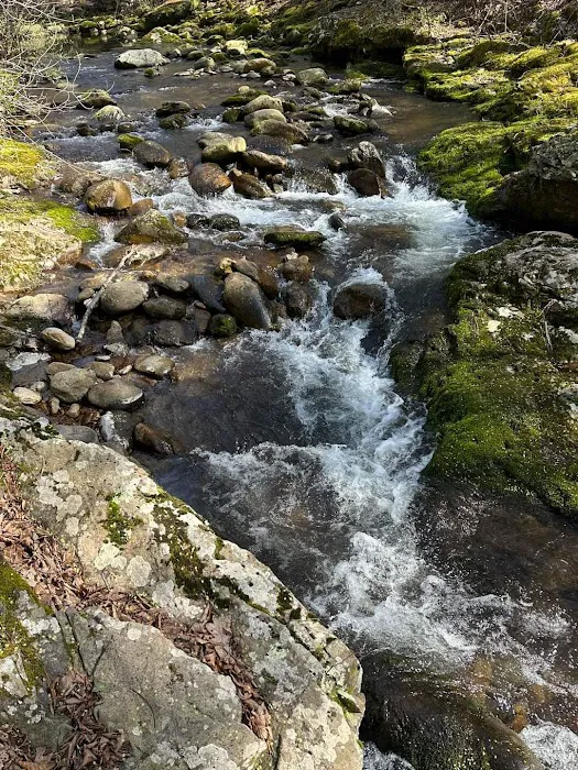 North Creek Campground 0