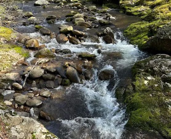 North Creek Campground