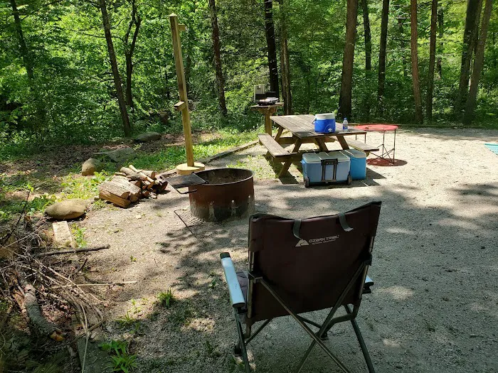 North Creek Campground 1