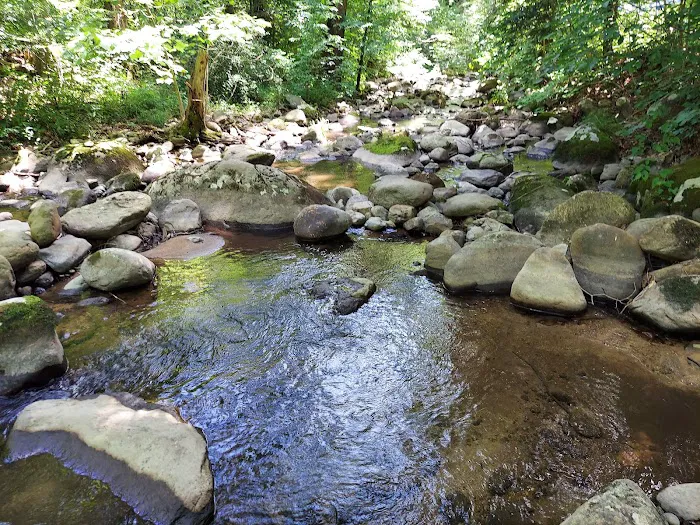 North Creek Campground 6