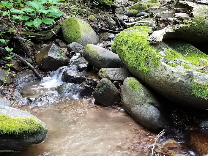 North Creek Campground 9