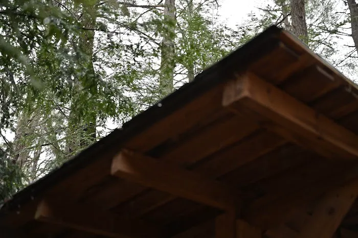 Bryant Ridge Shelter 3