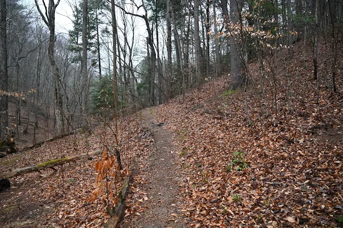 Bryant Ridge Shelter 7
