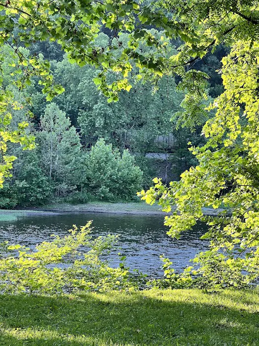 Wilderness Canoe and Camp 5