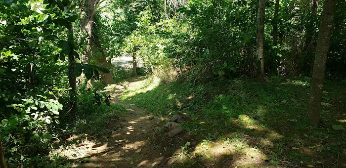 Breeden Bottom Campground Twin River 4