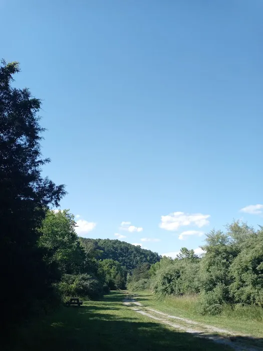 Breeden Bottom Campground Twin River 8