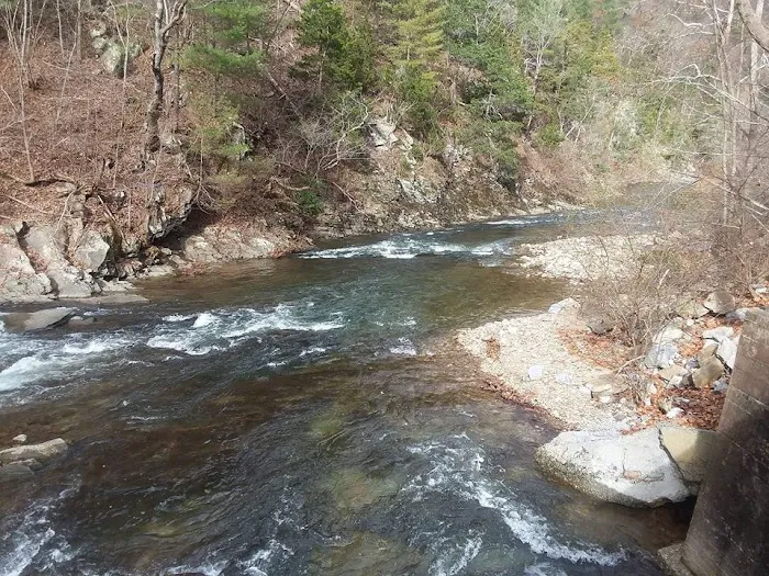Middle Creek Campground 4