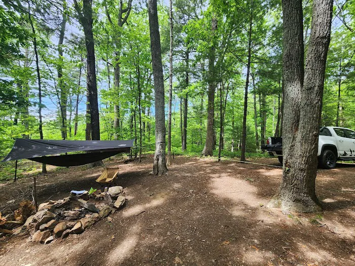 Washington/Jefferson National Forest - campsite 1