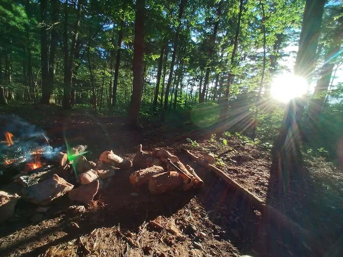 Washington/Jefferson National Forest - campsite 3