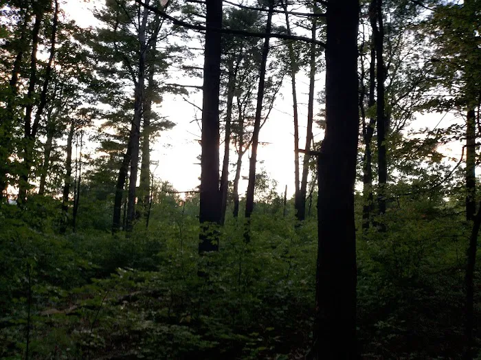 Washington/Jefferson National Forest - campsite 4