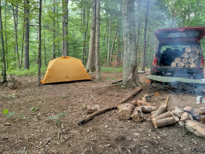 Washington/Jefferson National Forest - campsite 5