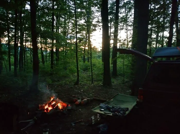 Washington/Jefferson National Forest - campsite 6