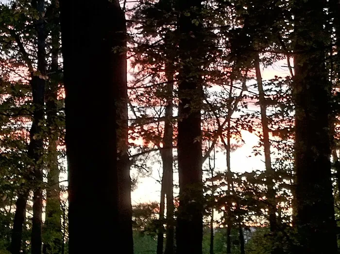 Washington/Jefferson National Forest - campsite 7