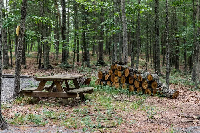 Historic Cold Sulphur Springs Campground 1